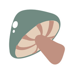 Mushroom Hand Drawn Vector illustration