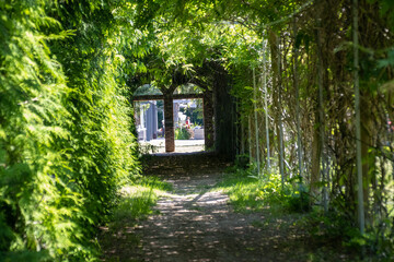Weg
