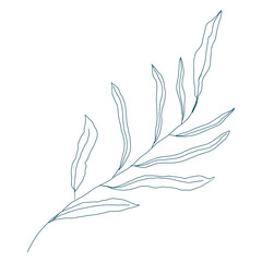 Leaf botanical line vector Element