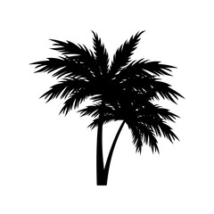 Black silhouettes of Tropical palm trees vector on white background