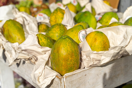 Maradol papayas on the market.