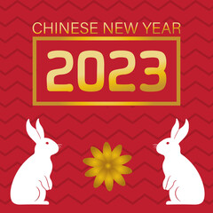 Happy chinese new year, wish post with rabbit illustration