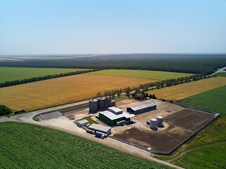 Aerial of grain elevator in front of wheat field. Drone photo above flour mill or oil extraction...