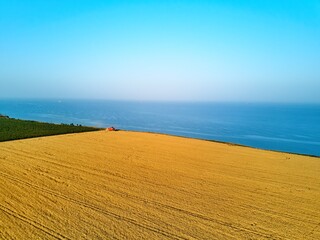 Aerial of red combine harvester working in wheat field near cliff with sea view on sunset. Harvesting machine cutting crop in farmland near ocean. Agriculture, harvesting season. Landscape scenic.