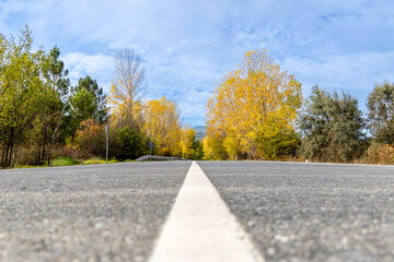 Empty asphalt road in autumn fall forest in Madrid. Autumnal background.