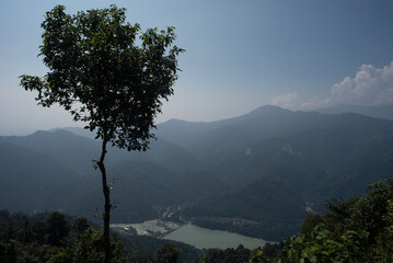 Obraz na płótnie Canvas Tree in front of mountains