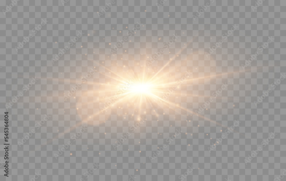 Wall mural shine glowing stars. golden vector lights and sparks isolated. vector illustration