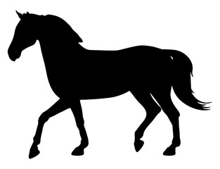 Silhouette of moving horse on white background. Vector illustration