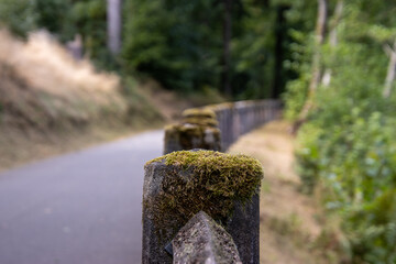 Weg