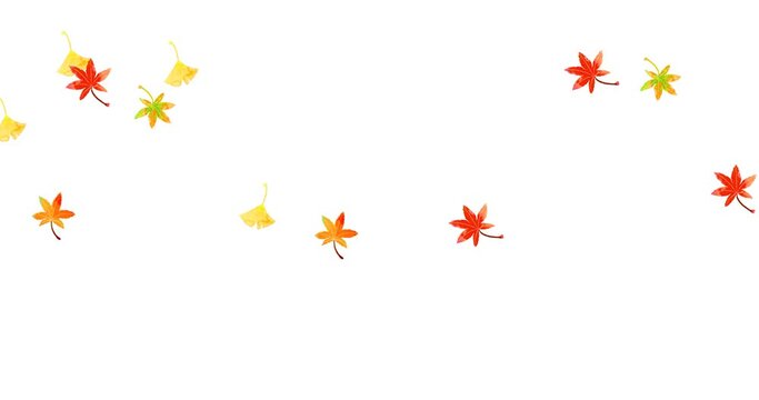 水彩の紅葉と銀杏の葉が風に舞うループアニメーション