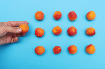 Hand and lying apricots on a blue paper background.