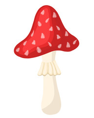 Fly agaric with red cap