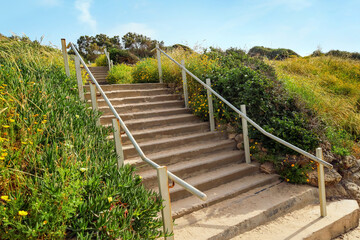 Fototapeta na wymiar View of stairs and bushes near beach on sunny day