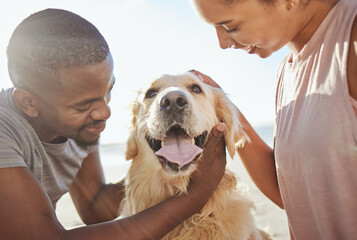 Couple, dog and love, together at beach for fun trip, happy and pets animal with care. Bonding,...