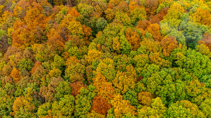 Kleine Herbstwanderung durch die sch&ouml;ne Natur von Schmalkalden - Th&uuml;ringen - Deutschland