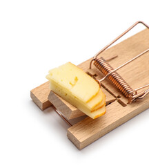 Wooden mousetrap with cheese on white background