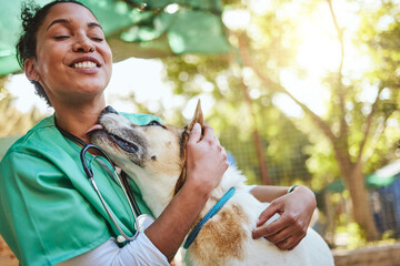 Vet, happy and nurse with a dog in nature doing medical healthcare checkup and charity work for...