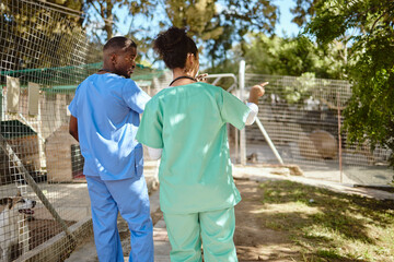 Veterinary, volunteer and medical team together outdoor for planning, strategy and discussion about...
