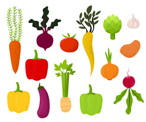 Vegetables. Vector food illustrations. Tomato, beetroot, bell pepper, eggplant, carrot, onion, parsnip, radish, garlic, potato