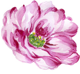 Watercolor gouache liberty vintage sweet bouquet of flowers stock illustration pink and yellow color