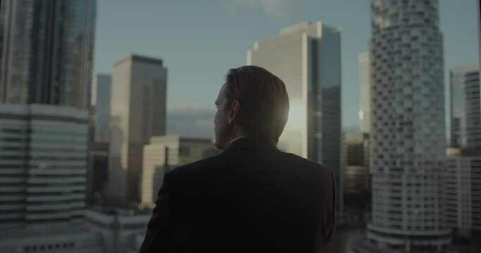 Successful Businessman Looking at City Skyline View in Finance District