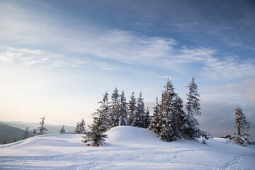 beautiful winter landscape with snowy fir trees