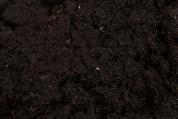 Garden beds of fertile soil close-up