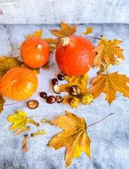 Kürbisse, Blätter, Kastanie, Schale, Herbst 