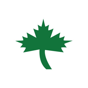 Maple leaf icon vector logo design template