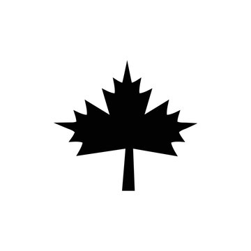 Maple leaf icon vector logo design template