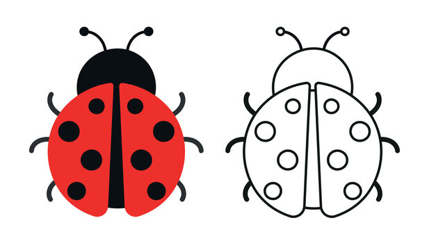 Coloring Book Ladybug Insect Animal Cartoon Animated Vector Illustration