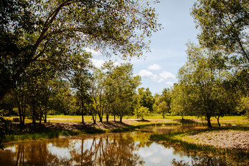 Park in the noon