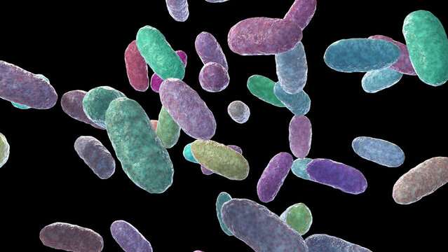 Bacteria Aggregatibacter, illustration