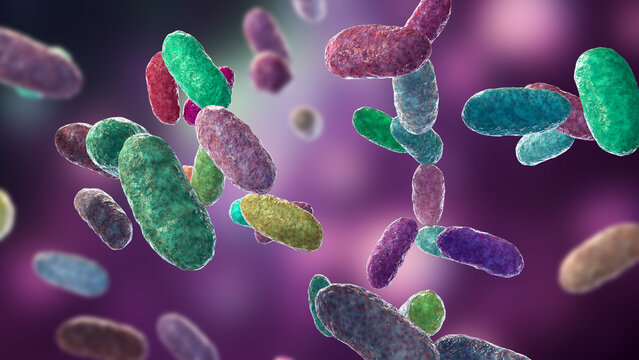 Bacteria Aggregatibacter, illustration