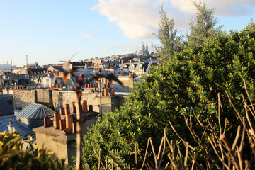 Paris - Terrasse sur les Toits - Rooftop