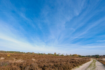 Nature reserve Sallandse Heuvelrug