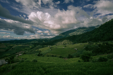 Fototapeta na wymiar rice terrace landscape with mountains and clouds