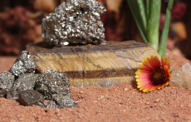 Flower With Pyrite Rocks and Chakra Crystals on Australian Red Sand