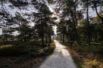 Nature reserve Sallandse Heuvelrug