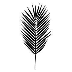 Silhouette of a palm leaf isolated on a white background. Vector illustration