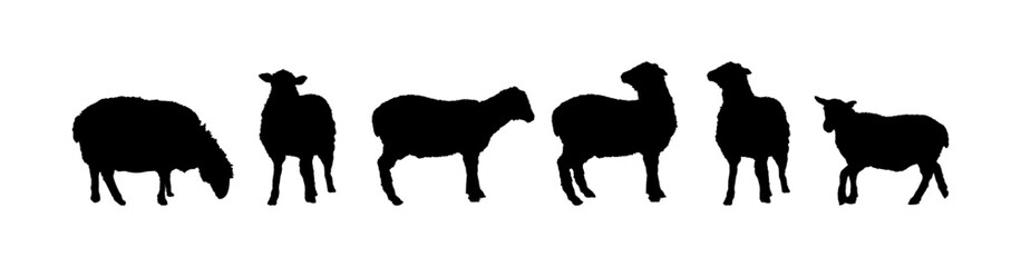 Obraz na płótnie Canvas set of silhouettes of sheep
