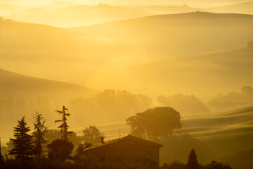 Obraz premium Scenic morning light in Tuscany, Italy. Scenic golden sunrise light in Tuscany.