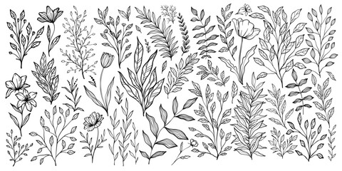 Set of branch and leaves collection. Floral hand drawn vintage set. Sketch line art illustration. Element design