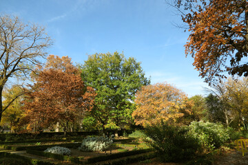 Naklejka premium Otoño en el Jardín Botánico de Madrid