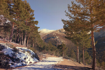 Fototapeta na wymiar Invierno en el valle la Barranca en Madrid
