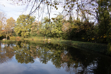 Fototapeta na wymiar Castle pond Bedburg with trees