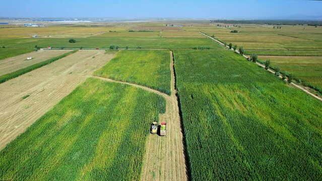 Aerial photography of corn harvester harvesting in Hohhot, Inner Mongolia, China