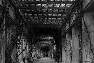 Tunnel of columns in black and white 