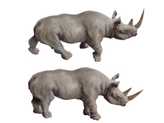 Obraz premium rhinocéros, mammifère, animal, faune, sauvage, safari, nature, grand, jardin , corne, zoologique, dangereux, cornu, compromettre, fond blanc