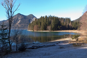 Fototapeta premium der bayerische Walchensee mit seiner Halbinsel bei Sachenbach; im Hintergrund die Berge Herzogstand und Heimgarten